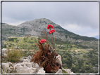 foto Zona monumentale dell’Ortigara